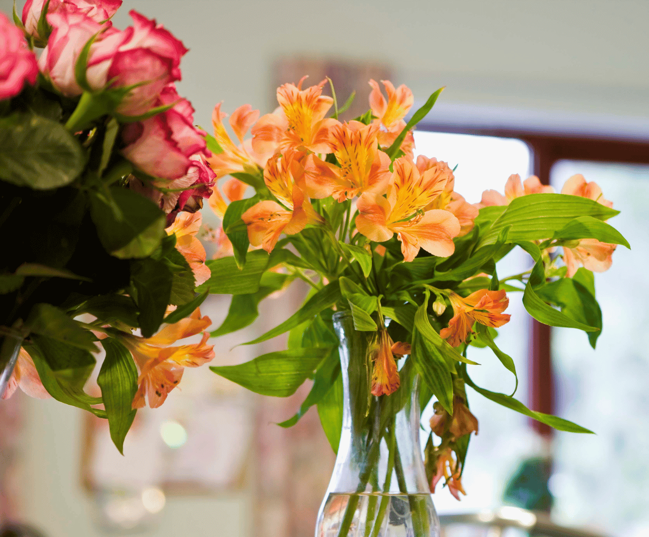 Thoughtful Flowers for Someone in the Hospital