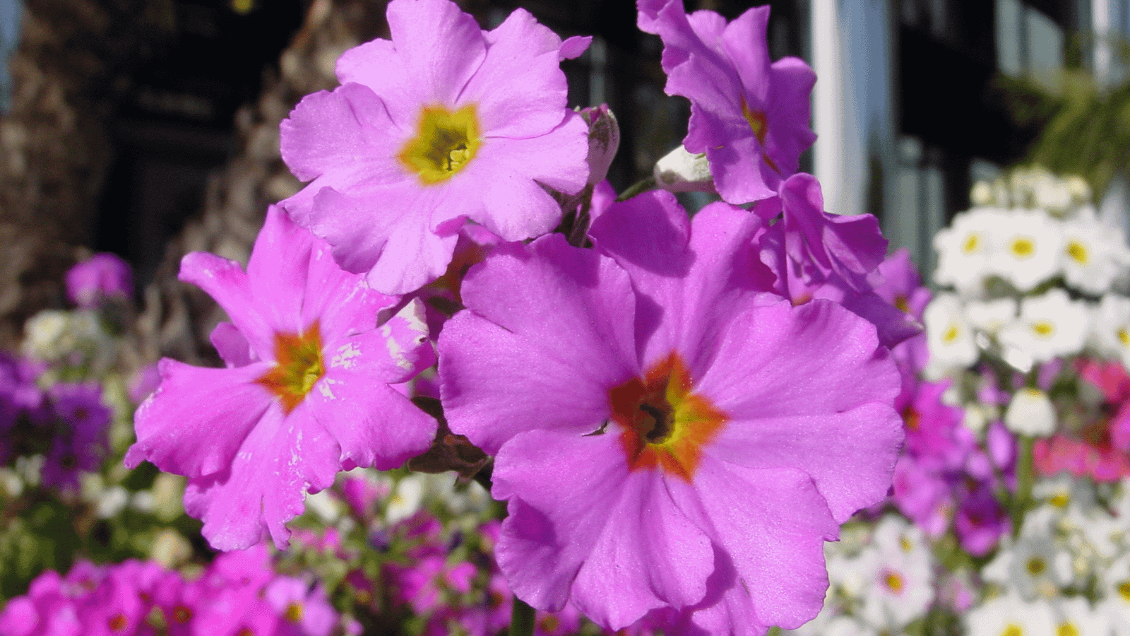Floral Design That Fits Your Corporate Event